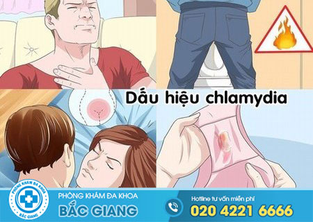 Bệnh chlamydia là gì