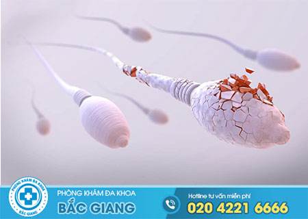 Bệnh tinh trùng yếu là gì? Đâu là những thông tin cần biết về bệnh?