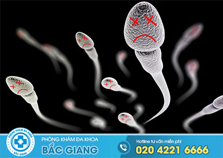 Dấu hiệu tinh trùng yếu bạn cần quan tâm