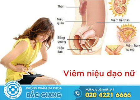 Nguyên nhân gây viêm niệu đạo ở nữ