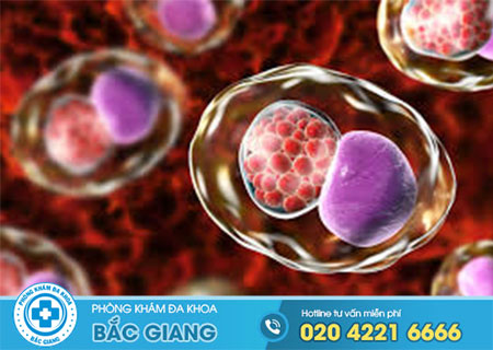 Phương pháp điều trị chlamydia