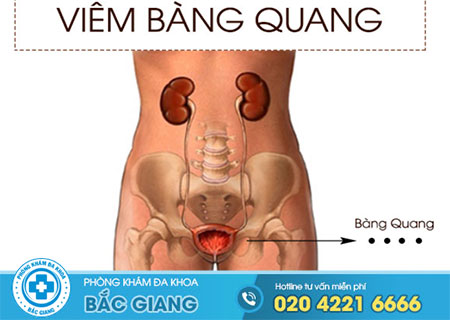 Tác hại bệnh viêm bàng quang với nam giới