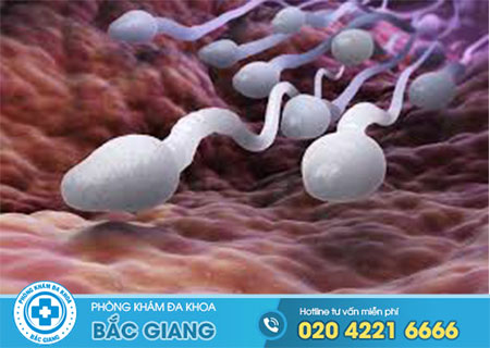 Tinh trùng ít là bệnh gì?