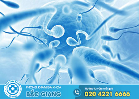 Bạn biết gì về sức sống của tinh trùng?