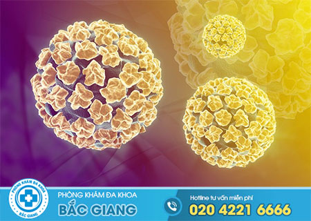 Hiểu thế nào về virus HPV?