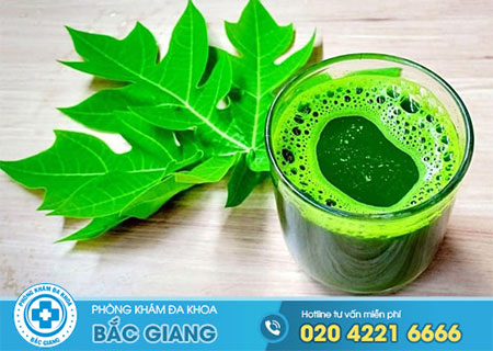 Lá đu đủ chữa bệnh trĩ