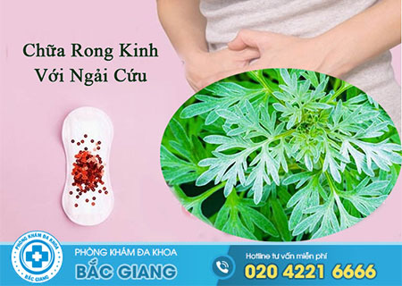 Chữa rong kinh bằng ngải cứu