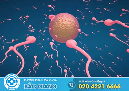 Khi tinh trùng gặp trứng có biểu hiện gì