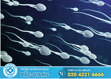 Tinh dịch và tinh trùng khác nhau như thế nào