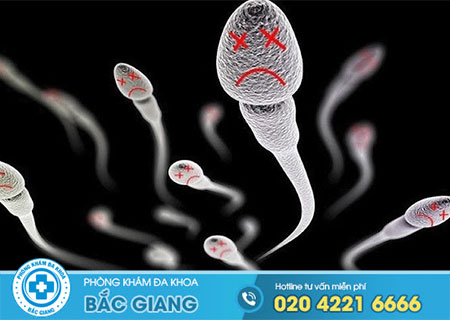 Tinh trùng di chuyển chậm nên ăn gì