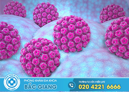 Virus HPV là gì? Xét nghiệm HPV ở đâu?