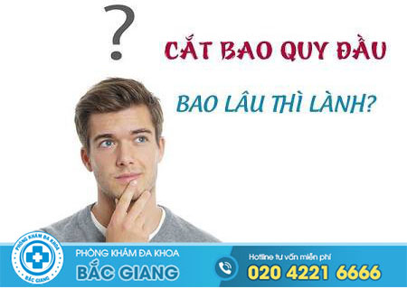 Cắt bao quy đầu bao lâu thì lành?