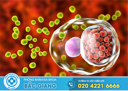 Chlamydia có nguy hiểm không?