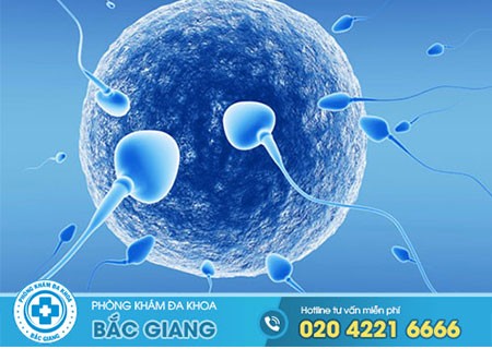 Bao nhiêu tinh trùng mới có thai?